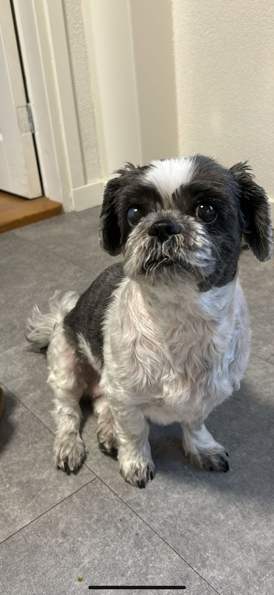 Yindi